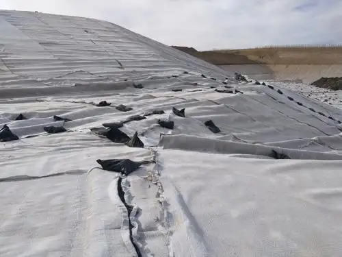 復(fù)合排水網(wǎng)在道路施工中有哪些優(yōu)勢呢？